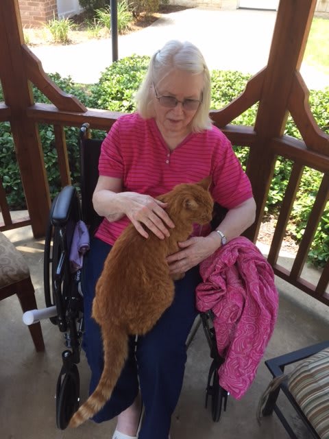 A woman in a wheelchair petting a cat on her lap while sitting on a porch.