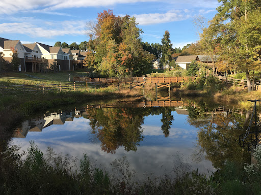 A serene pond reflecting the vibrant autumn colors and surrounding houses under a clear sky.