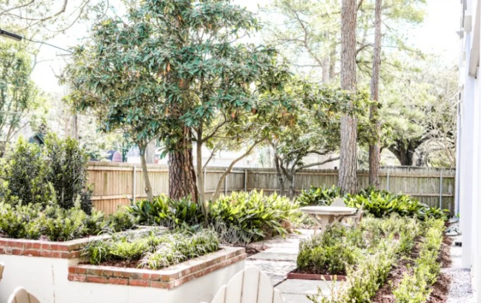 A beautifully landscaped garden with trees and various plants surrounded by a wooden fence.