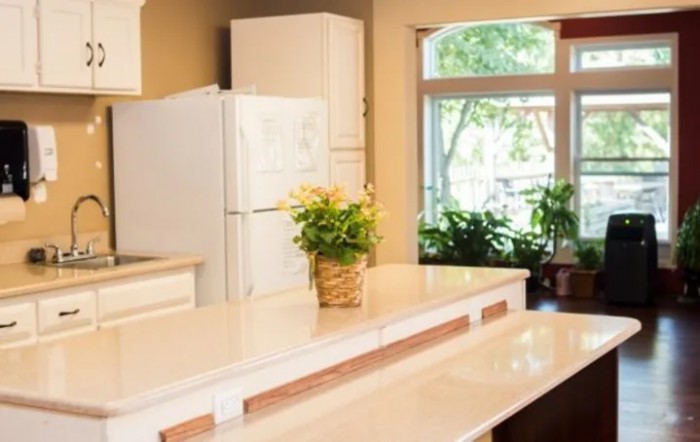 A bright and inviting kitchen with a spacious countertop, potted plants, and large windows letting in natural light.