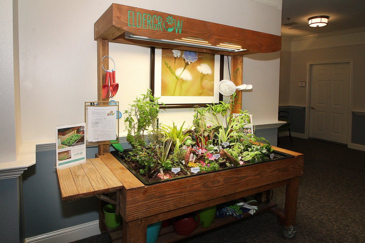 An indoor hydroponic garden with various plants, using artificial lighting for growth.