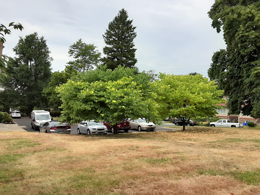 Laurel Square Healthcare And Rehabilitation Center