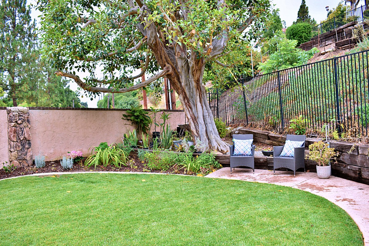 A serene backyard garden with a large tree and cozy seating area.