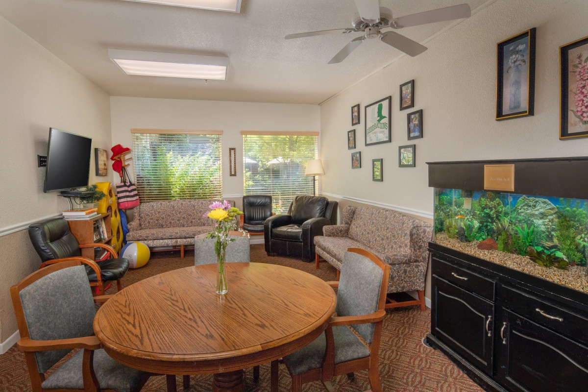 A cozy living room featuring multiple sofas, a dining table with chairs, an aquarium, and ample natural light from large windows.