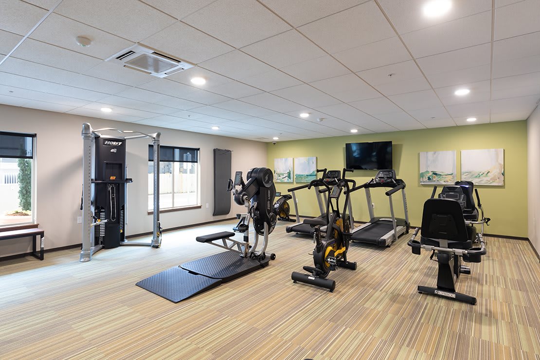 A modern gym with various exercise equipment including treadmills, a weights bench, and other fitness machines.