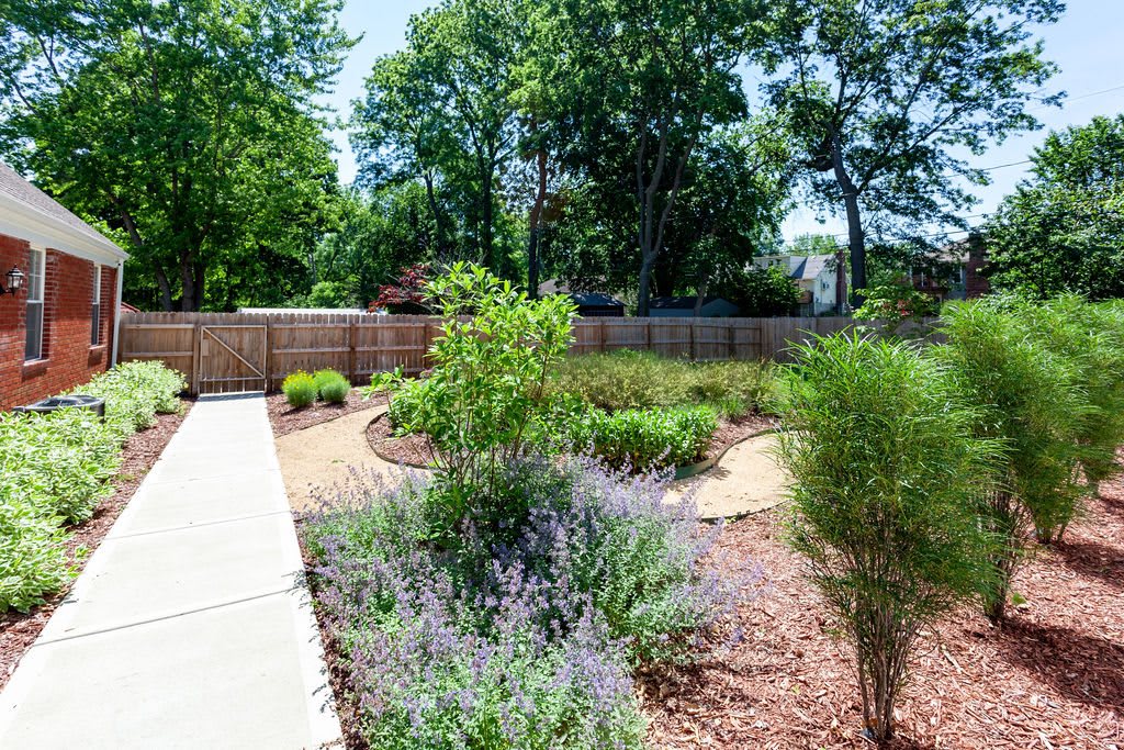 A beautiful garden landscape with various plants, a pathway, and surrounding trees on a sunny day.