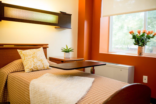 A cozy and modern bedroom with orange walls, featuring a bed with a simple design and a potted plant by the window.