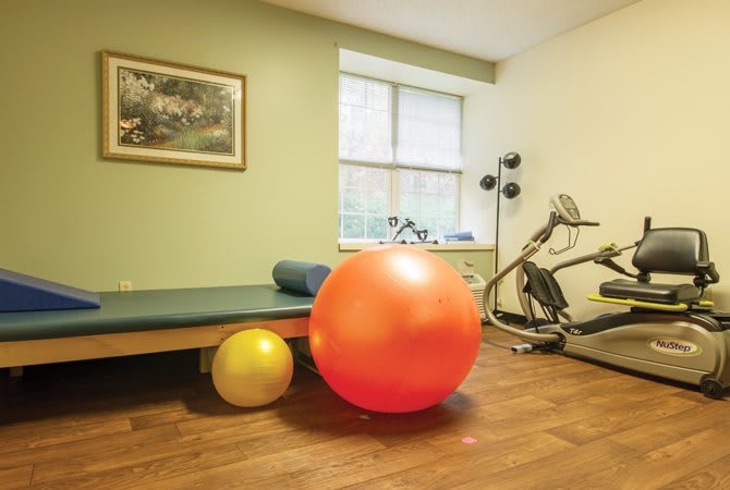 A home gym equipped with a yoga mat, stability balls, dumbbells, and an exercise bike.