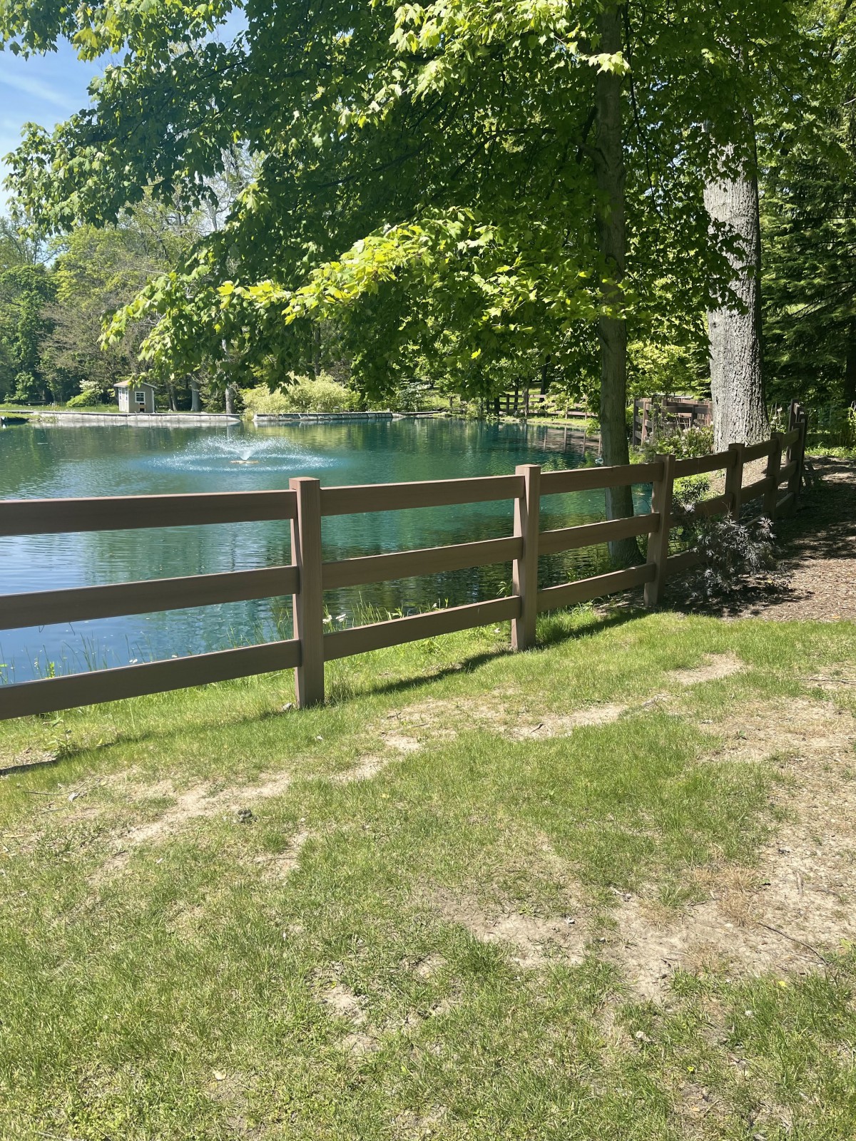 A peaceful pond surrounded by trees and a wooden fence on a sunny day.