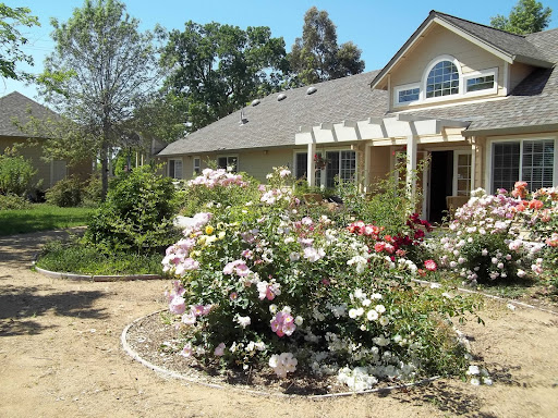 A beautiful residential house surrounded by vibrant rose bushes and lush greenery.