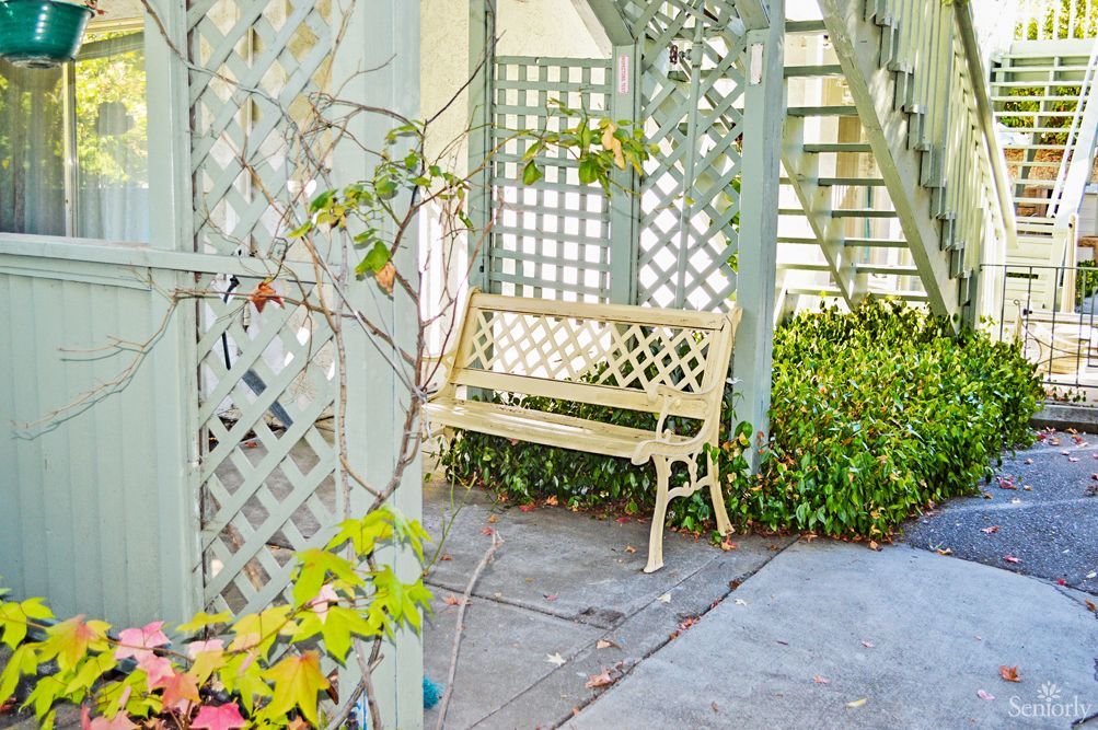 A cozy outdoor garden area with a decorative bench and lattice backdrop.