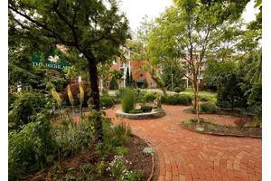 A serene garden with a brick pathway winding through lush greenery and trees.