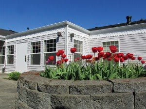 A house with a garden of red tulips in front, bordered by a brick wall, under a clear blue sky.