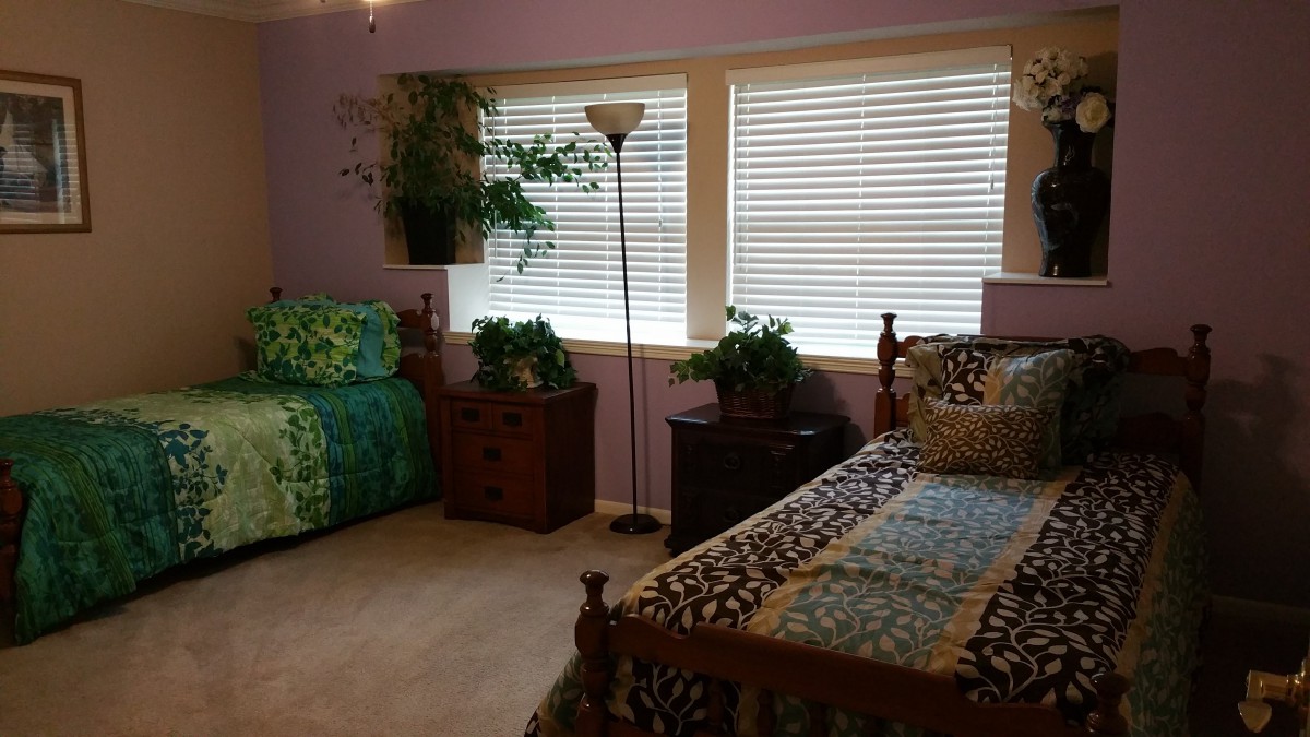 A cozy bedroom with twin beds, decorated with plants and illuminated by natural light from the windows.