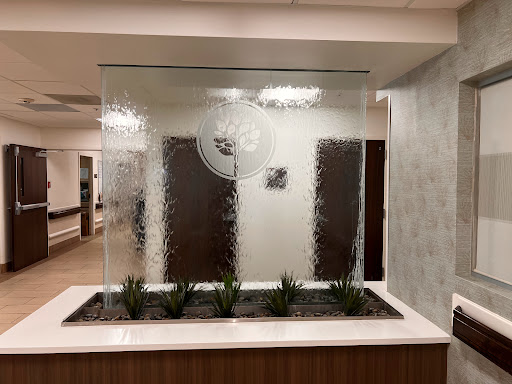 A contemporary indoor setting featuring a glass wall water feature with decorative plants.
