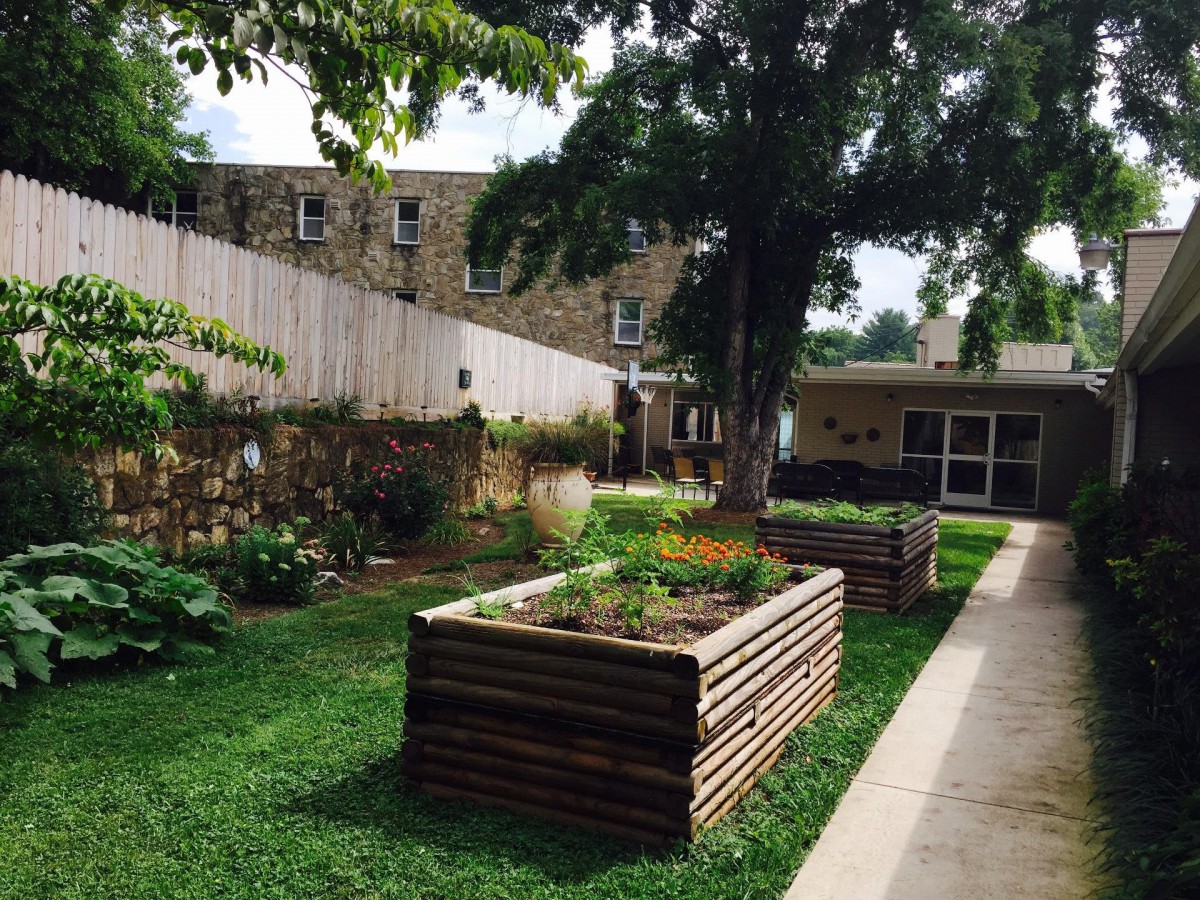 A charming garden with raised beds surrounded by lush greenery and trees.
