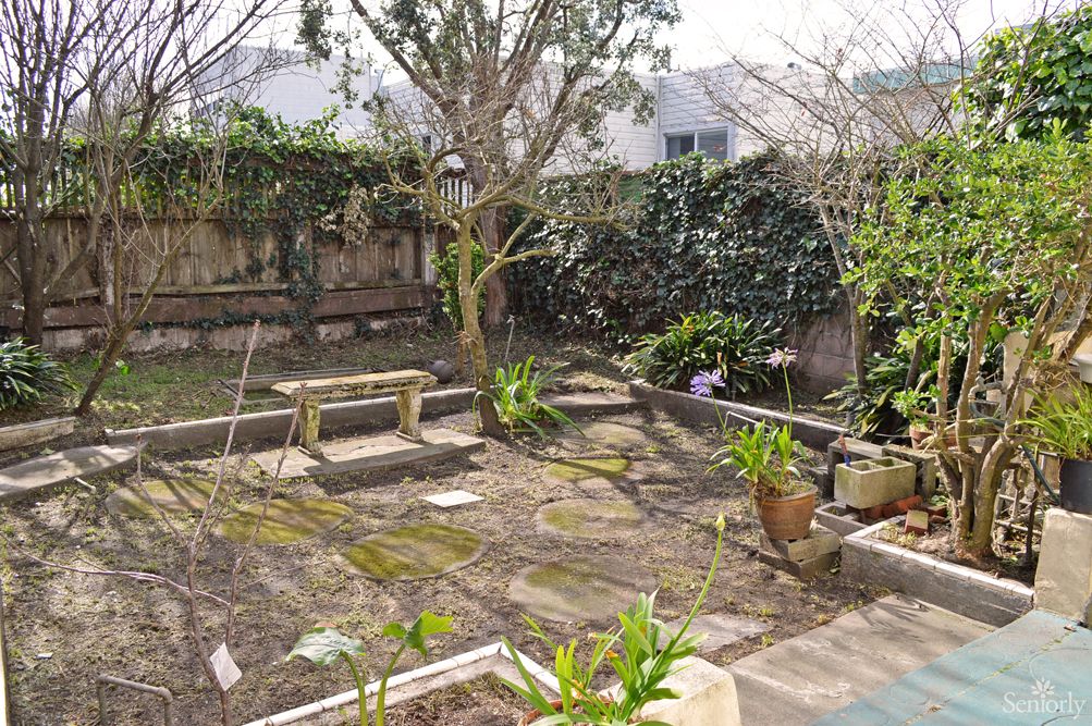 A backyard garden with benches and various plants.