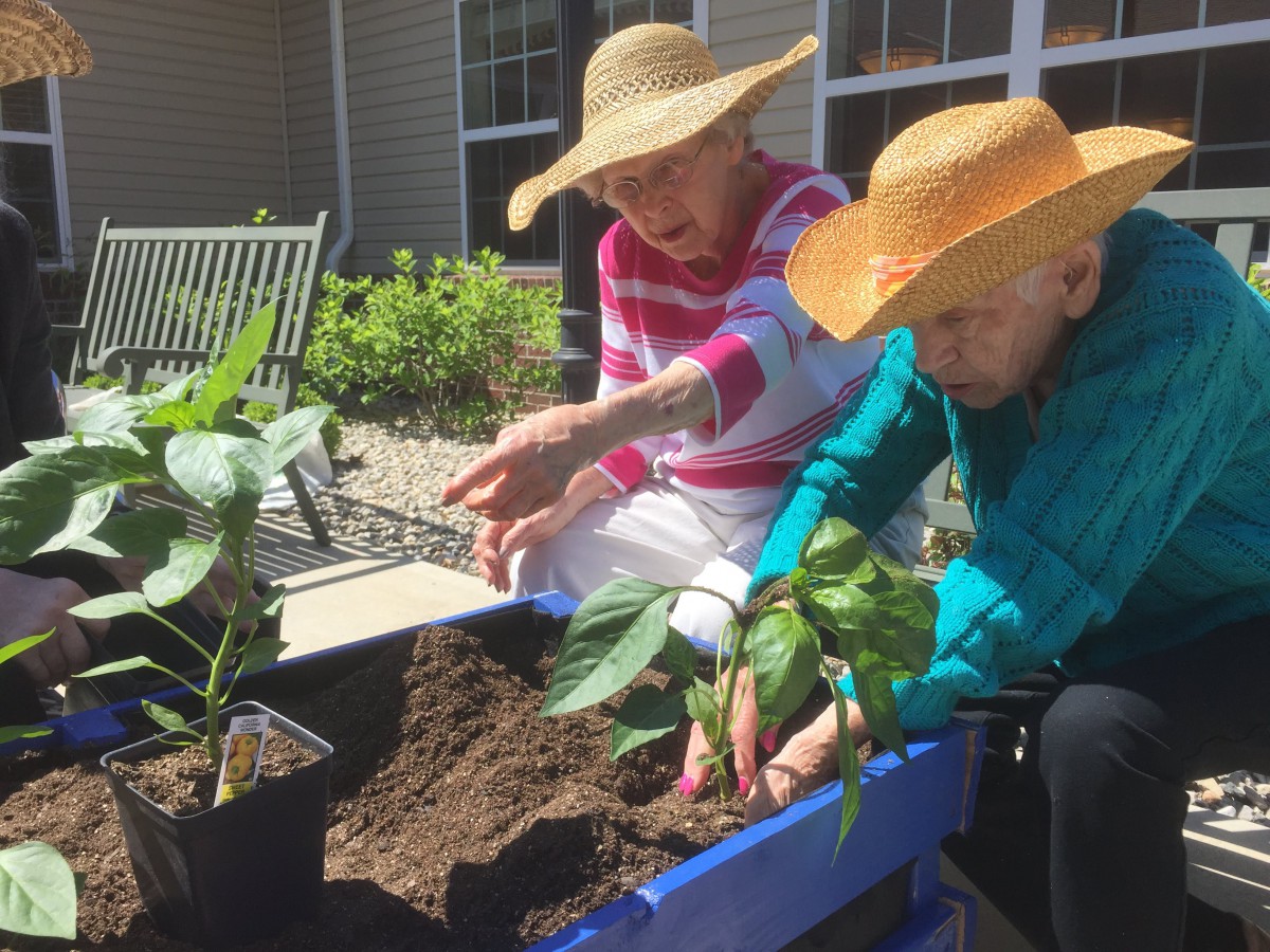 Two elderly individuals enjoying gardening outdoors, planting in a raised bed under the sunlight.