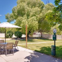 A sunny outdoor park area with a seating arrangement under an umbrella, surrounded by lush greenery.