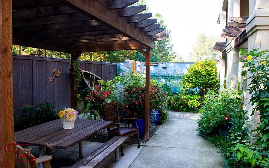 A cozy patio garden with a pergola, surrounded by lush greenery and colorful flowers.