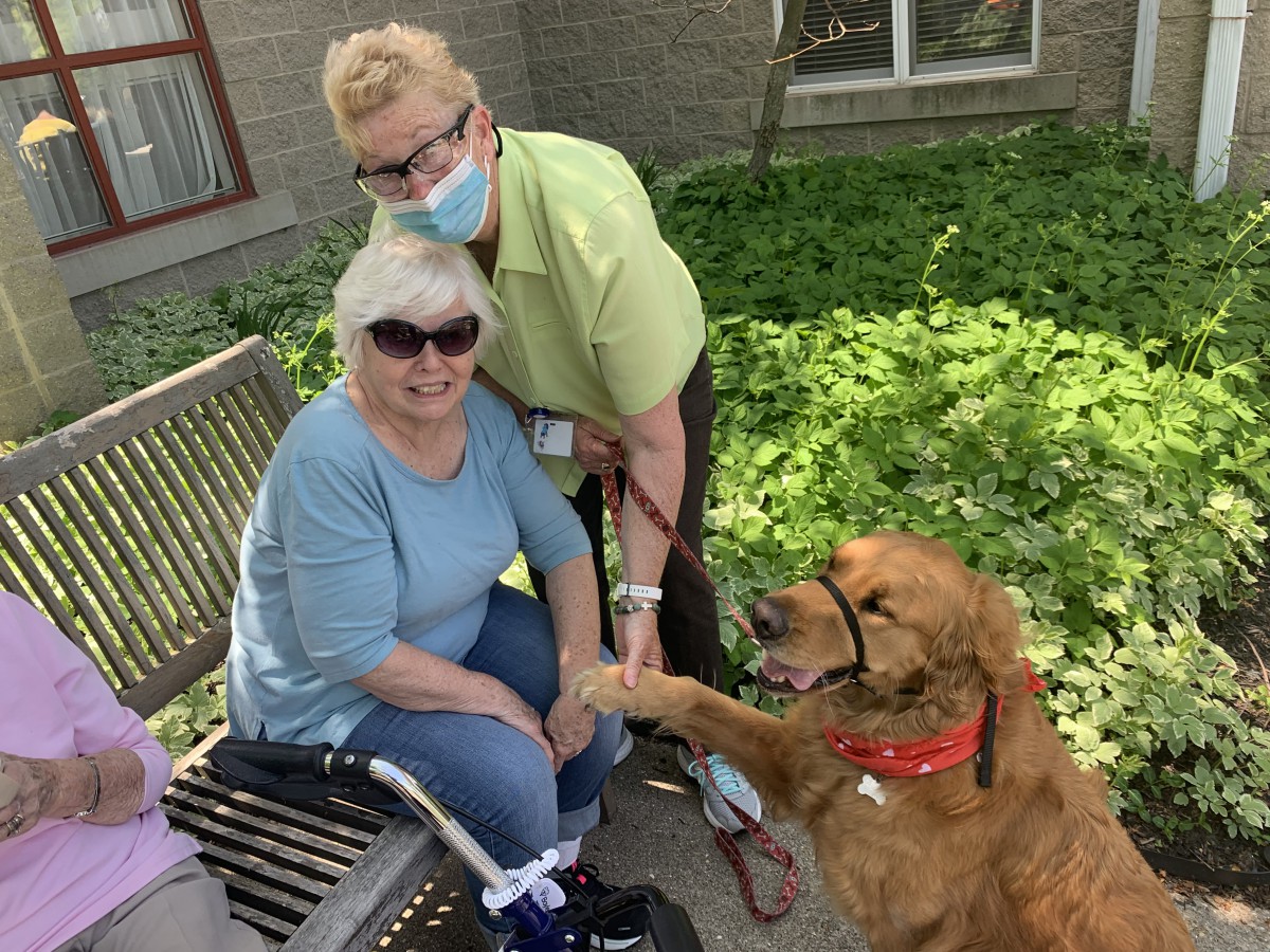An elderly woman sitting on a bench with a friendly dog and another person standing nearby.