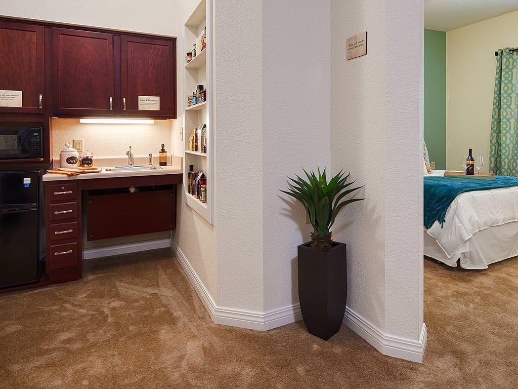 A cozy interior hallway featuring a potted plant, carpet flooring, and built-in shelves near a small sink area.