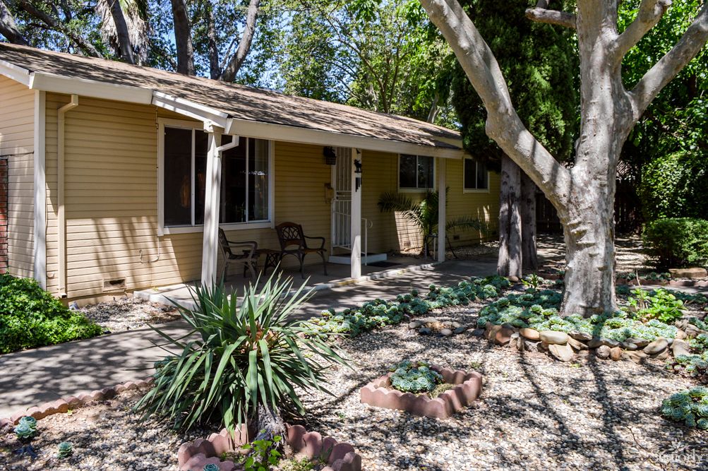 A cozy house surrounded by trees and a landscaped garden on a sunny day.