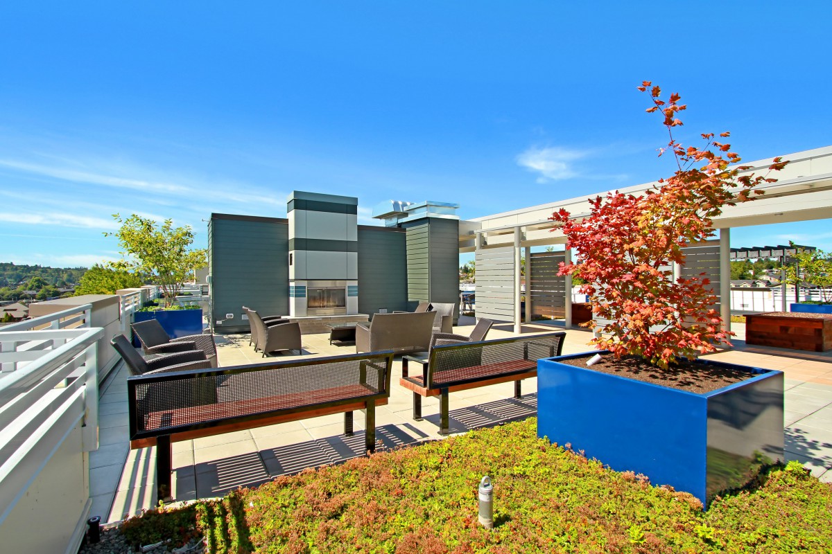 Modern rooftop patio with comfortable seating and vibrant plants under a clear blue sky.