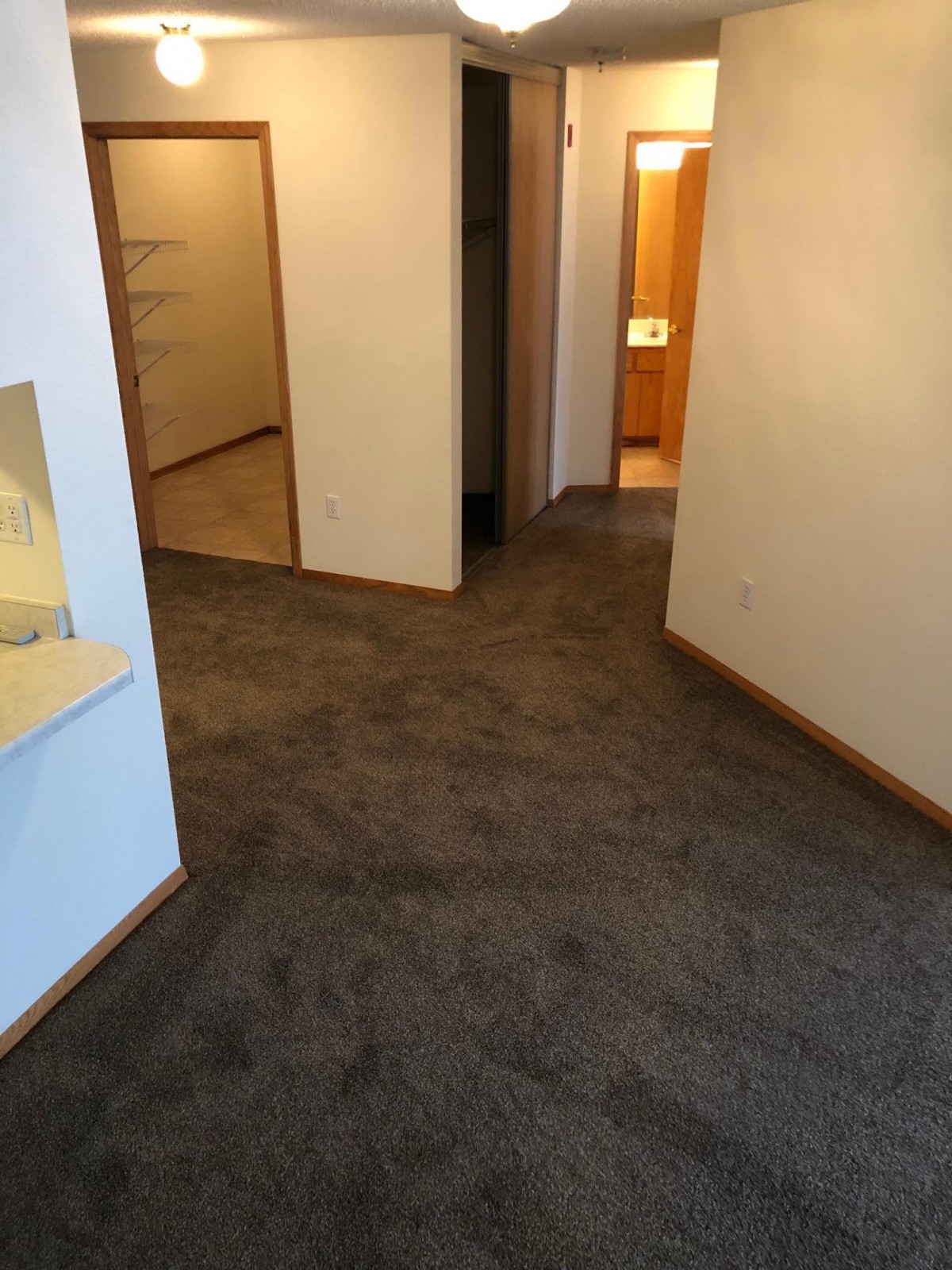 A carpeted hallway in an apartment with multiple doorways leading to different rooms.