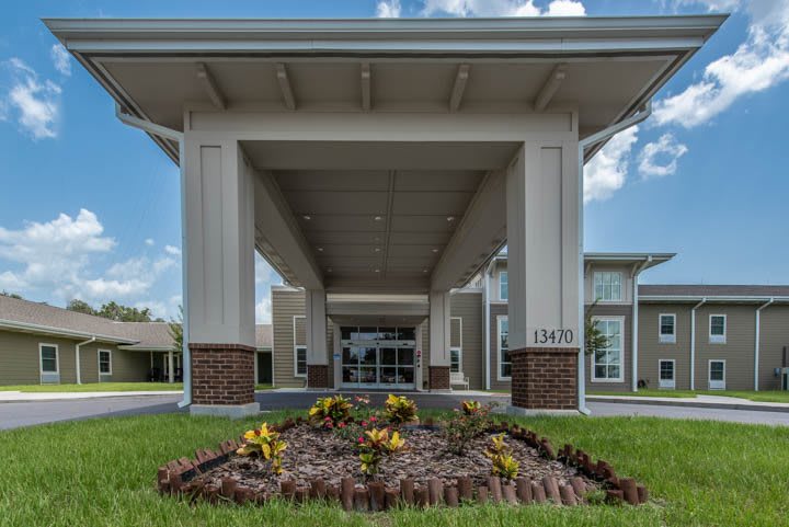 An inviting entrance to a modern building with a landscaped garden feature.
