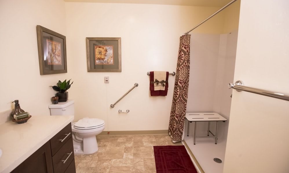 A well-decorated bathroom with accessibility features, including a handrail and shower seat.