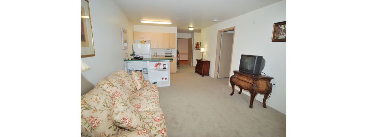 A cozy apartment living space with a sofa, TV, and an adjacent kitchen area.