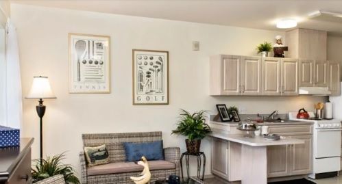A cozy living space with a small sofa, decorative plants, and a compact kitchenette.
