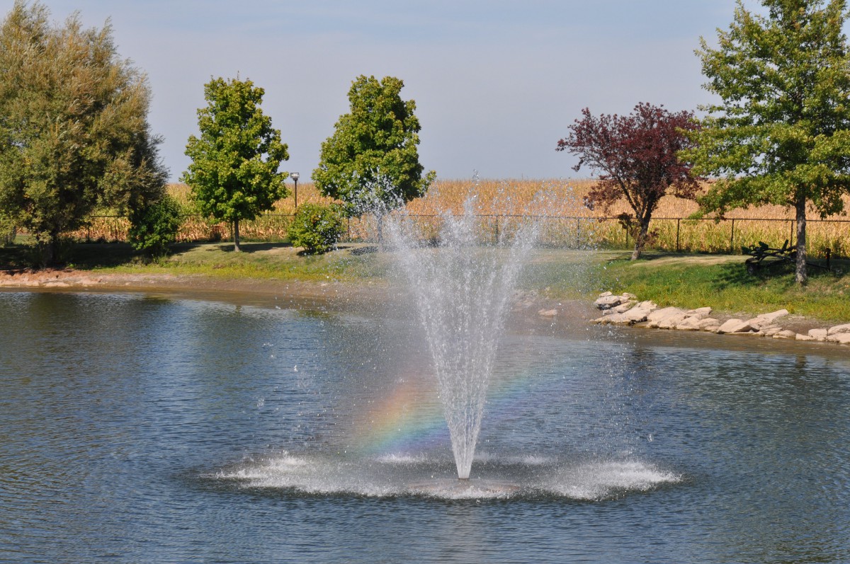 A beautiful fountain in a pond with a rainbow and surrounding trees.