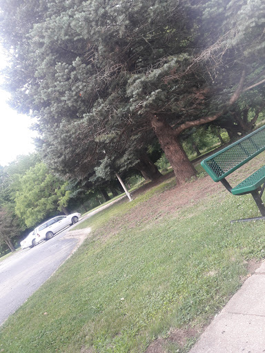 A peaceful park scene featuring a bench, lush greenery, and a road.