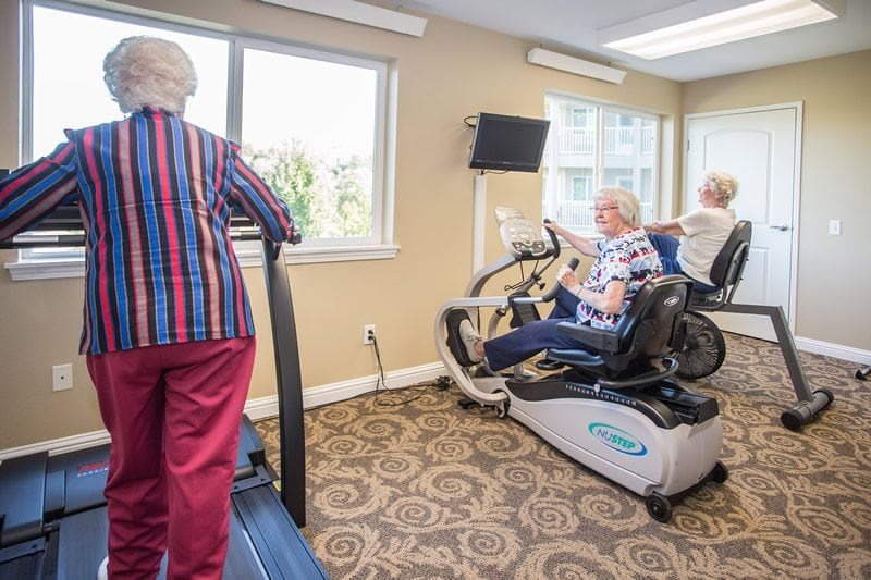 Seniors exercising indoors on a treadmill and stationary bike.