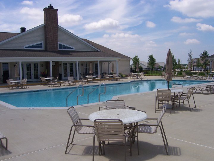 Spring Arbor
