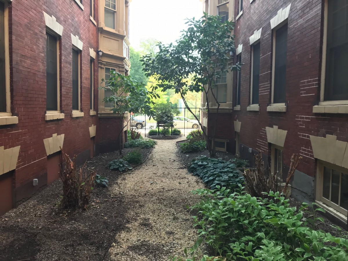 A narrow alley between brick buildings lined with plants and a gravel pathway.