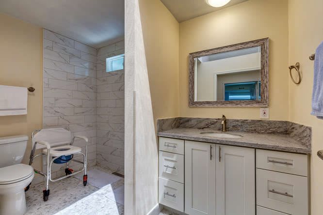 A modern bathroom featuring an accessible shower and a vanity with a large mirror.