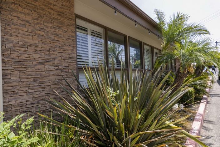 A modern house exterior with large windows and a garden featuring various plants.