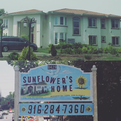 Sunflower's Home