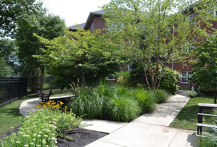 A serene garden with a pathway surrounded by lush greenery and trees.