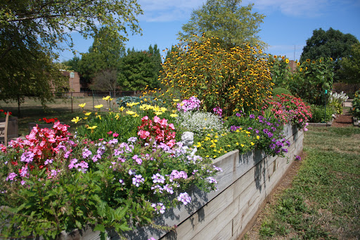 A vibrant display of flowers in a well-maintained garden.