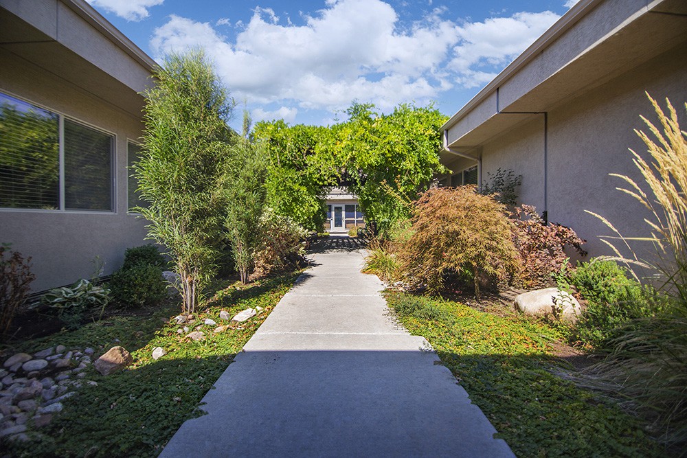 A tranquil garden pathway flanked by lush greenery and buildings.