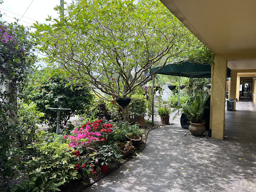 A beautiful garden pathway surrounded by lush greenery and vibrant flowers.