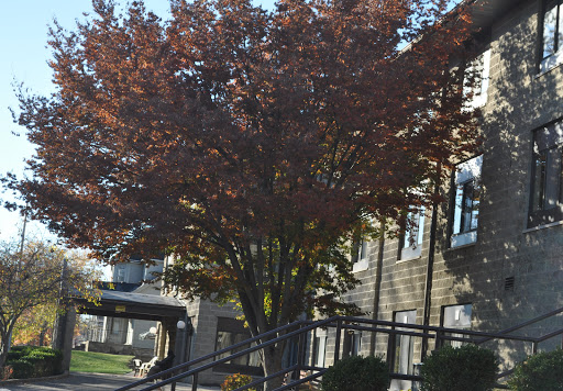 A vibrant tree showcasing autumn leaves in front of a building.