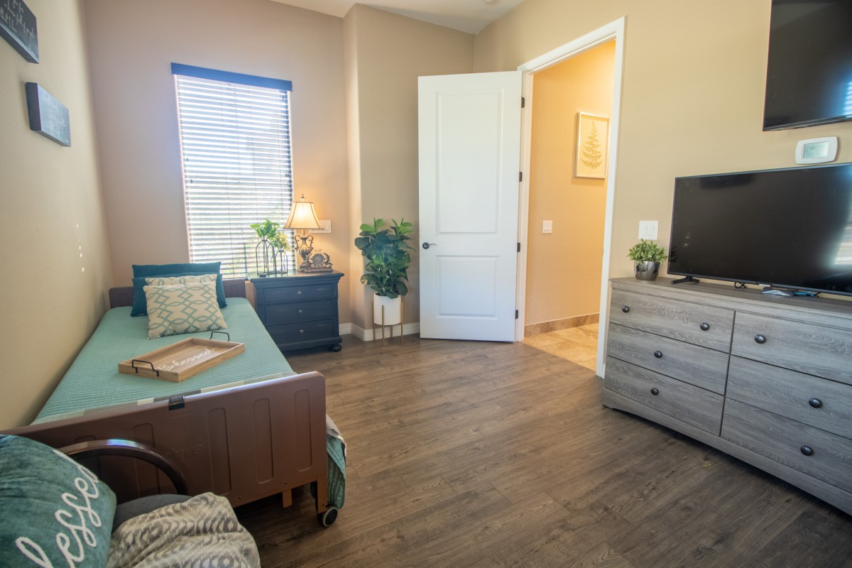 A cozy bedroom with modern furniture, including a bed, dresser, and TV. Natural light filters through the window, highlighting the room's warm tones and decorative plants.