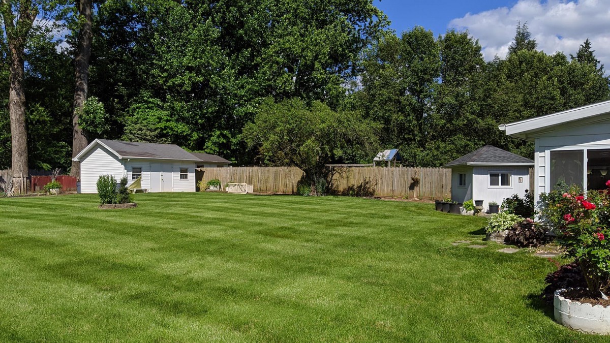 A well-maintained backyard with a lush green lawn, surrounded by a wooden fence and trees.