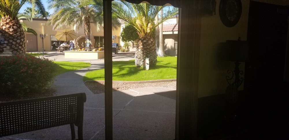 View of a sunny courtyard with a palm tree and surrounding buildings.