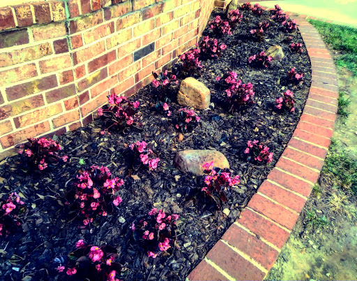 A beautifully arranged flower bed featuring vibrant purple flowers alongside a brick border.